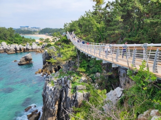 ���� ����3