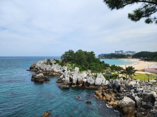 ���� ����4