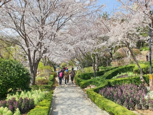 ���� ����3