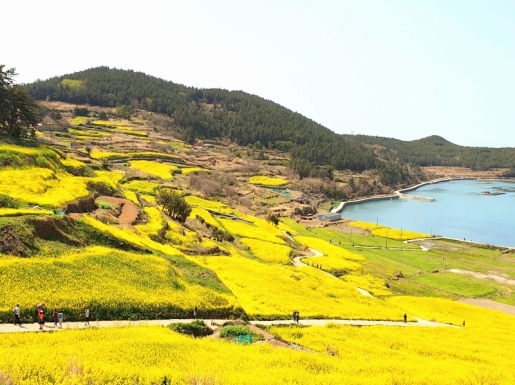 ���� ����2