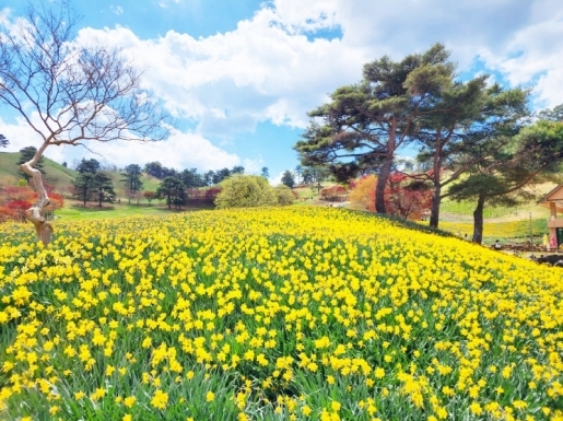 ���� ����3