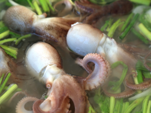 ���� ����4