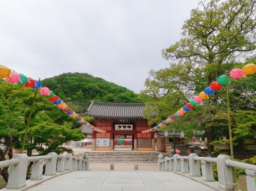 ���� ����6