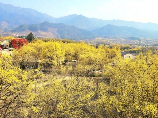 ���� ����4