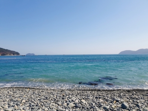 ���� ����6