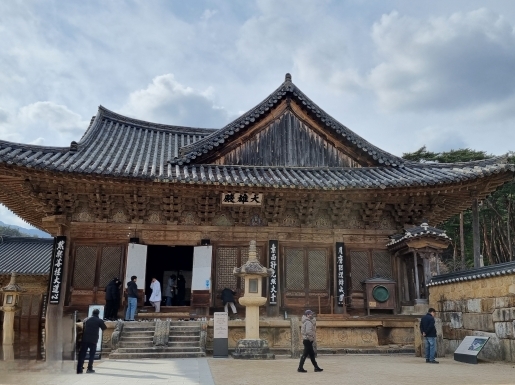 ���� ����3