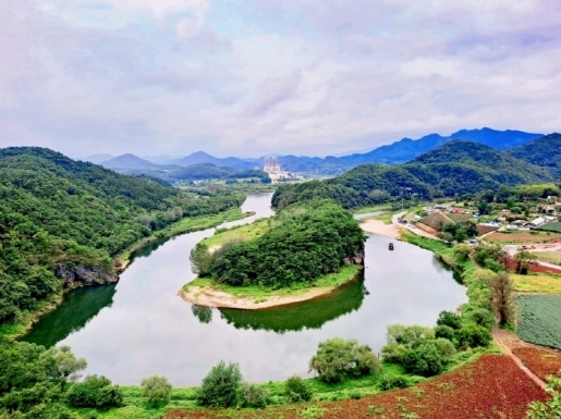 ���� ����5