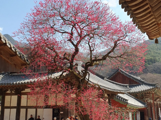 ���� ����2