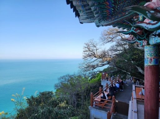 ���� ����7