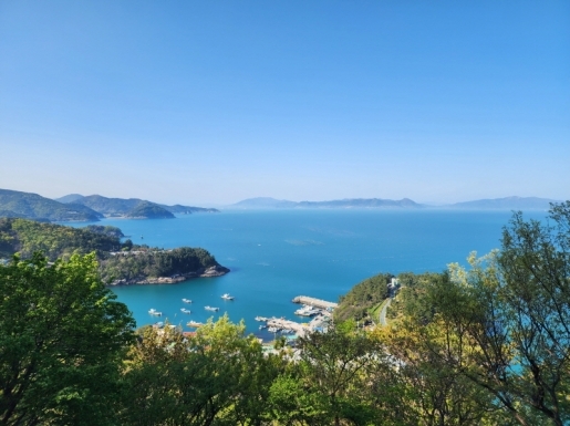 ���� ����3