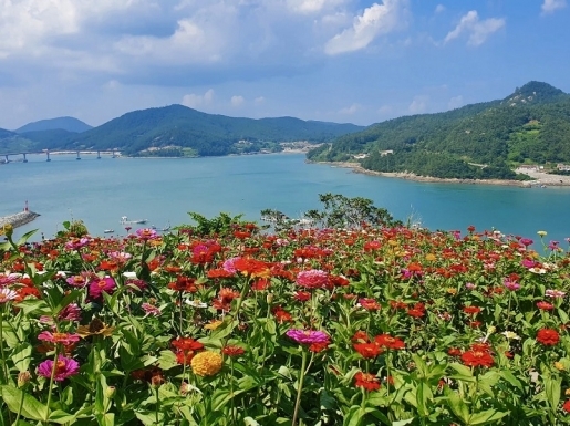 ���� ����3