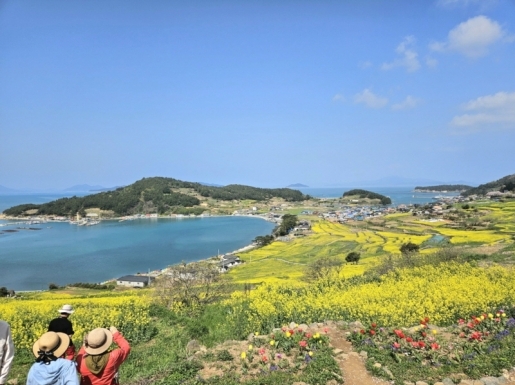 ���� ����1