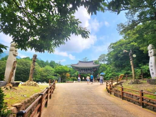 ���� ����3