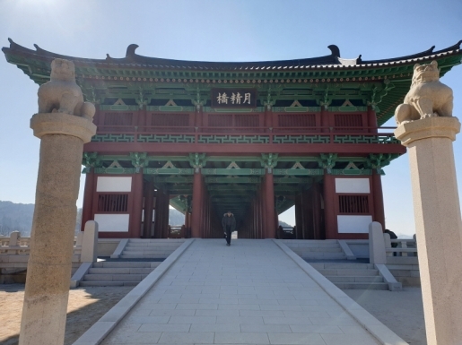 ���� ����5