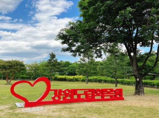 ���� ����4