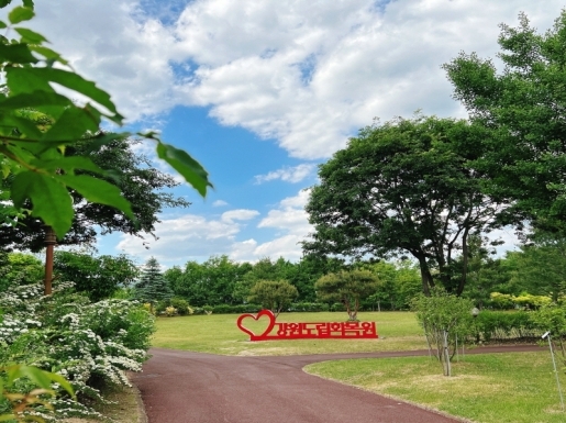 ���� ����3