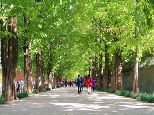 ���� ����2