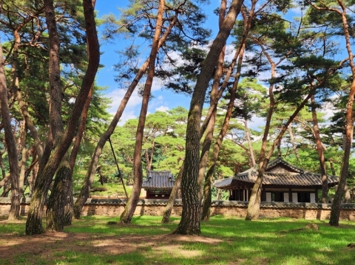 ���� ����7