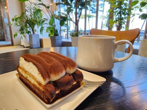 ���� ����6