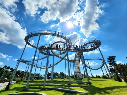 ���� ����5