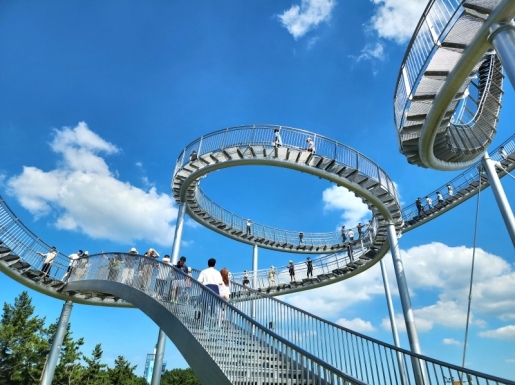 ���� ����3