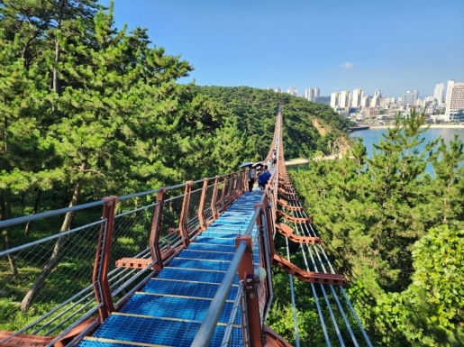 ���� ����6