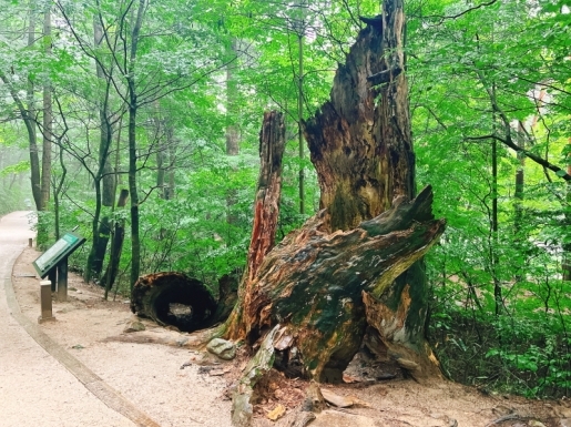 ���� ����7