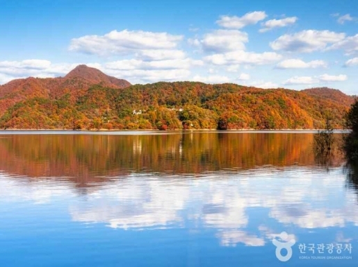 ���� ����6