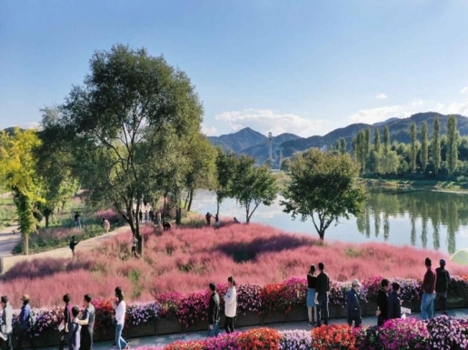 ���� ����4