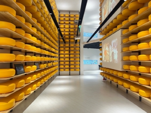 ���� ����3