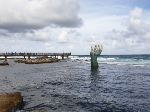 ���� ����2