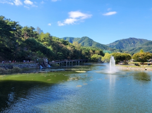 ���� ����6