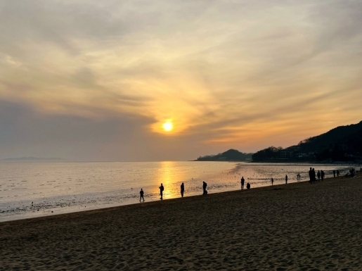 ���� ����2