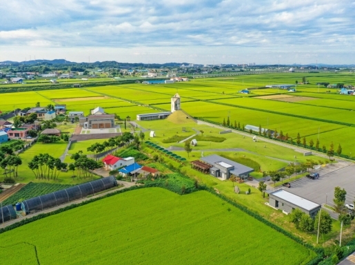 ���� ����6