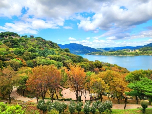 ���� ����7