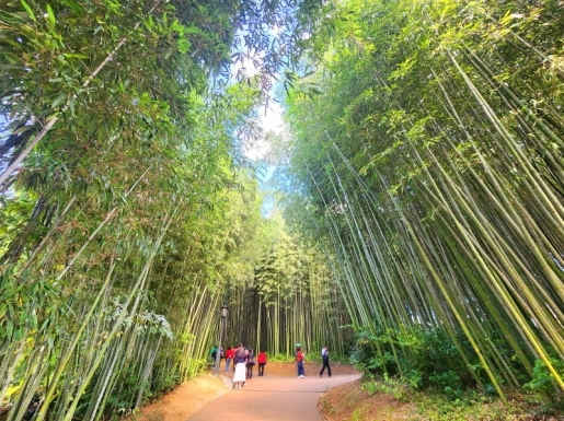 ���� ����2