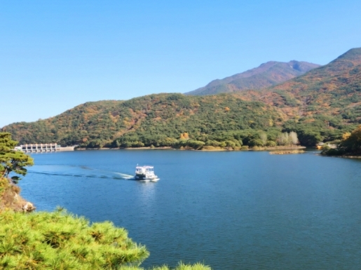 ���� ����5