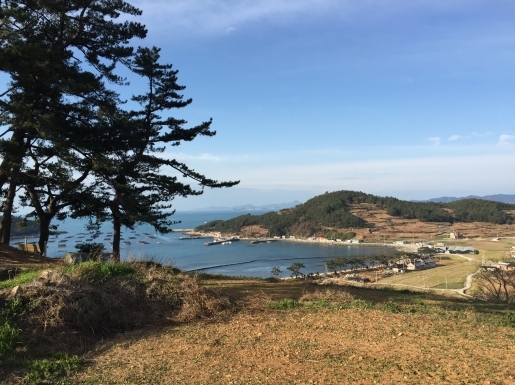 ���� ����4