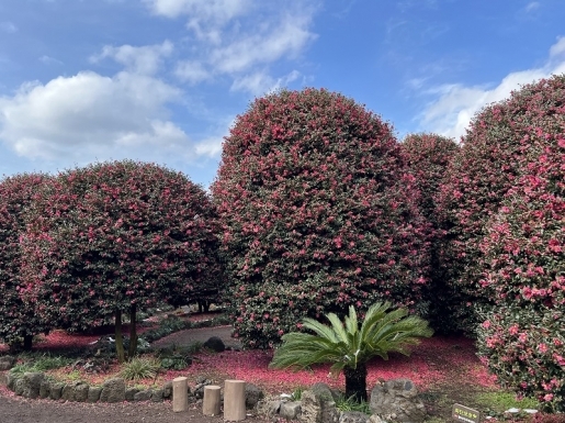 ���� ����2