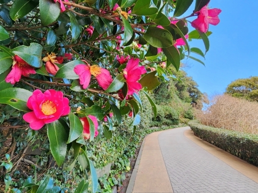 ���� ����5