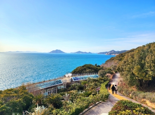 ���� ����4