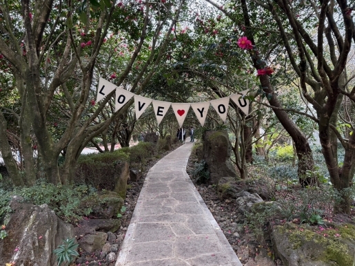 ���� ����7