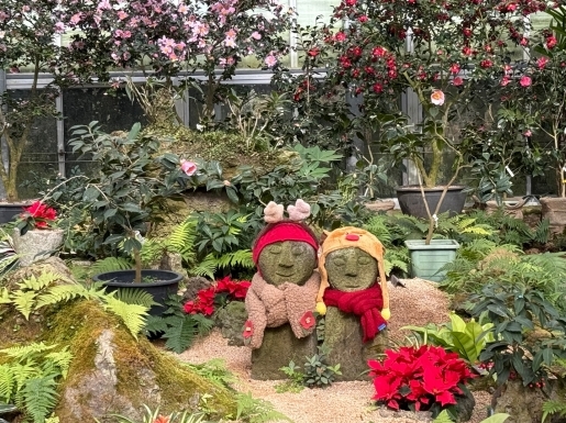 ���� ����4