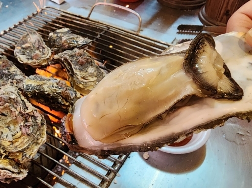 ���� ����3