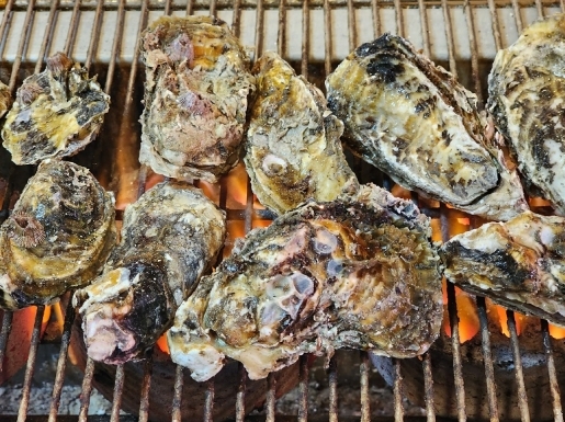 ���� ����4