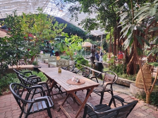 ���� ����4