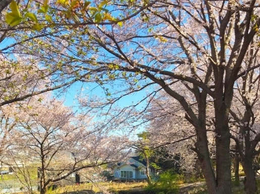 ���� ����2