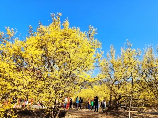 ���� ����5