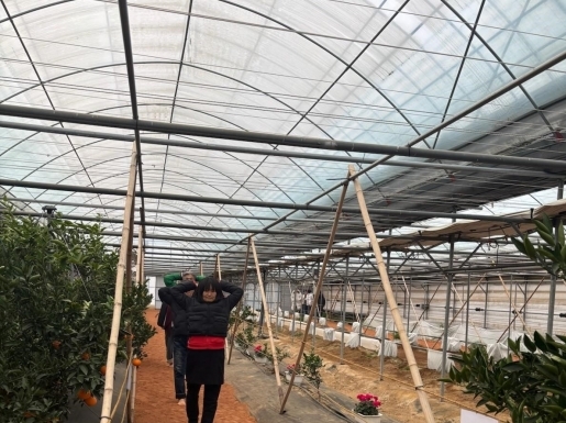 ���� ����6