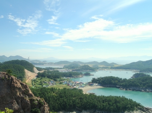 ���� ����5